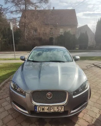 jaguar xf Jaguar XF cena 68600 przebieg: 168000, rok produkcji 2014 z Gniezno